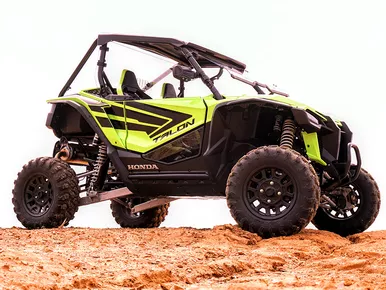 Honda Talon Lower Door Insert Panels -Dark Tinted